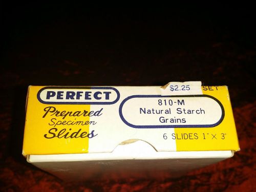 Perfect ready to use Prepared specimen slides 6 Natural Starch Grains 1x3 Japan