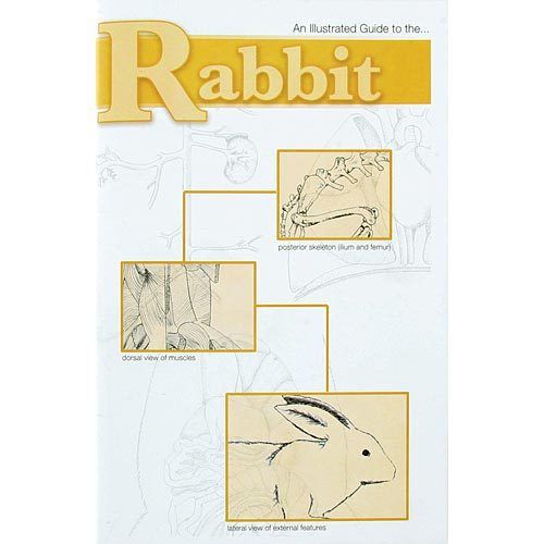 Illustrated dissection guide book to the rabbit, peter reinthal for sale