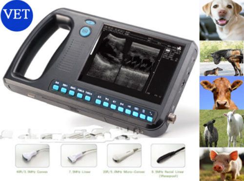 VET Veterinary Palmsmart Ultrasound Scanner Ultrasound System, 6.5 rectal probe.