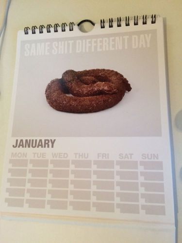 Same Sh*t  Different Day 2015 Desktop A5 Calendar Rude Funny