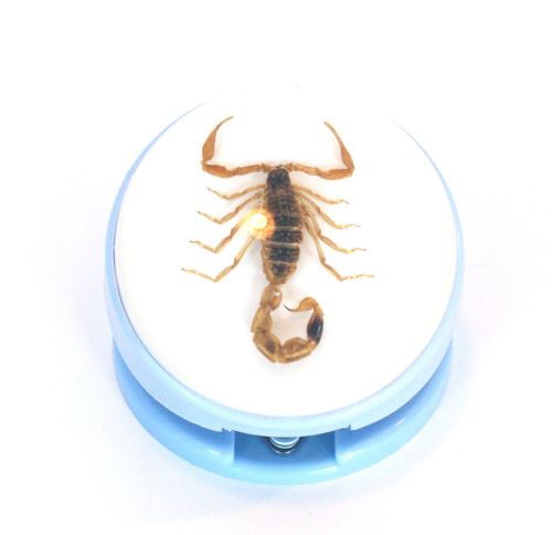 Real Golden Scorpion Stapler  Unique Scorpion Collection (ST2003)