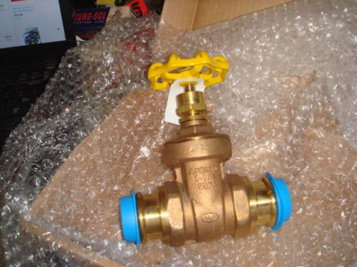 Apollo apolloexpress 1-1/4&#034; gate valve  102t114prlf non rising stem version new for sale