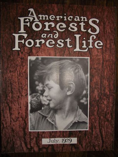 1929 JULY ~ AMERICAN FOREST MAGAZINE ~ AMERICAN FORESTY ASSOCIATION ~ VERY NICE