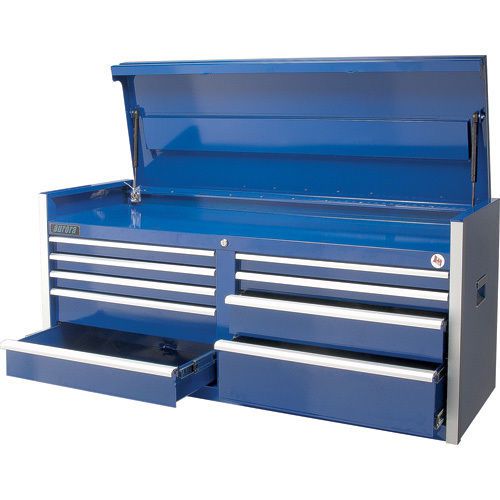 9 Drawer Professional Tool Chest 1600lbs Capacity Made in Canada