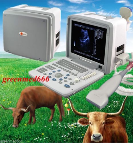 Vet veterinary ultrasound scanner digital machine + convex &amp;linear 2 probes 3d for sale