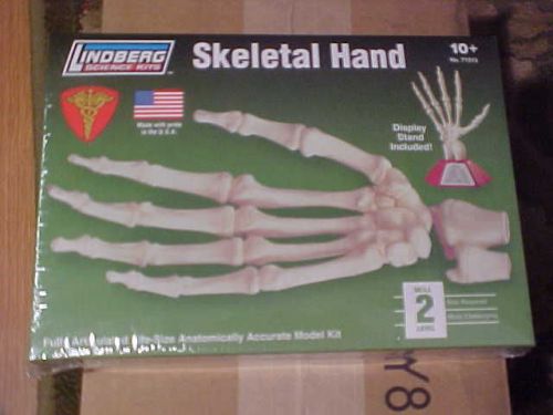 NEW IN BOX LIFESIZE HAND MODEL LINDBERG SKELTAL HAND MODEL
