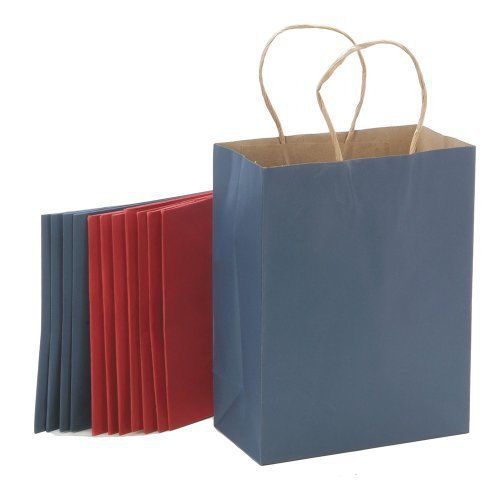 DARICE BAG234 13-Piece 4.25 by 8 by 10.25-Inch Assorted Paper Bag, Medium,
