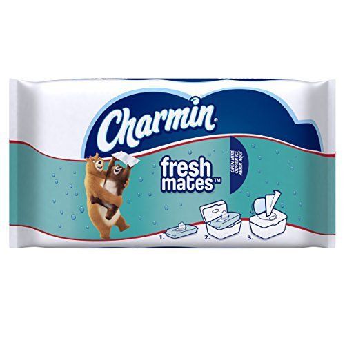 Charmin Freshmates Flushable Wipes, 40 Count Pack of 12