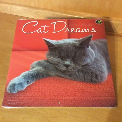 NEW Cat Dreams Calander 2016