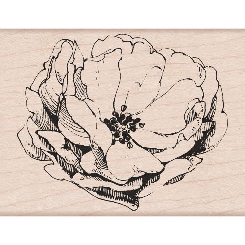 &#034;Hero Arts Mounted Rubber Stamp 4.25&#034;&#034;X3.25&#034;&#034;-Antique Rose&#034;