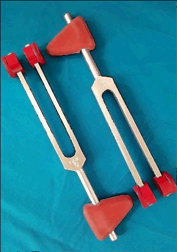 aluminum hammer for sale, New 2  premium grade 2 in 1 taylor hammer c128 tuning fork combo set a+ quality