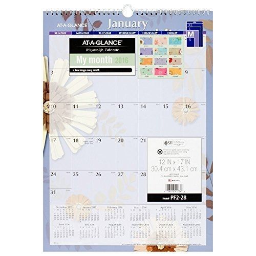 At-A-Glance AT-A-GLANCE Wall Calendar 2016, Paper Flowers, 12 x 17 Inches