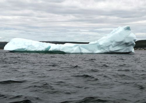 Rare Iceberg Ice For Sale