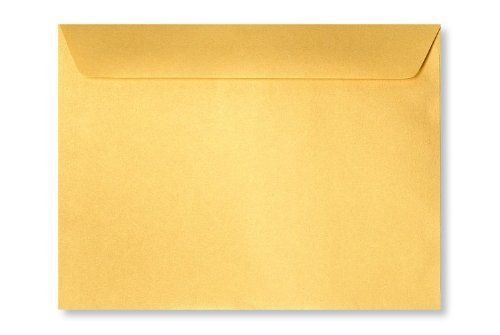 500 9x12 Booklet size Brown Envelopes