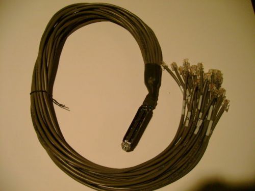 Tri-Net Cable Telco50 to RJ11 24 Poistion 3 Foot Long New in Bag