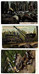 THREE 1920&#039;s POSTCARDS LOGGING IN THE NORTHWEST #2, 5 &amp; 6 of 6 previously listed
