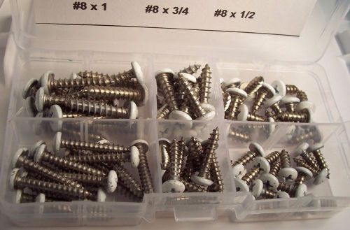 Ss 18-8 phillips painted pan head sheet metal screw (white) for sale