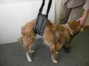 Vet Supply J0743A Jorgy EZ Lift Harness Large Canine Dog Hind End Weakness Vet