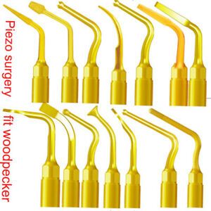 36type Ultrasonic Scaling Bone Cutting Oral Care Piezo Surgery Tips fit NSK rt54