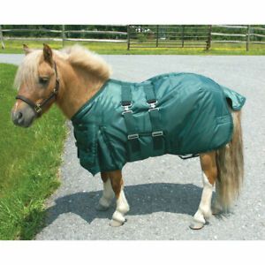 Intrepid International MB38GN Mini Horse Turnout Blanket, Hunter Green - Siz