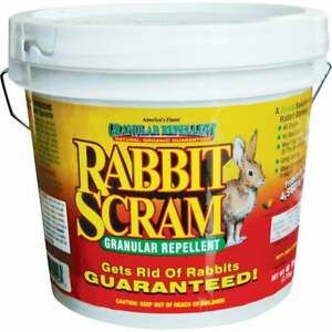Rabbit Scram 6 Lb. Granular Organic Rabbit Repellent 11006  - 1 Each