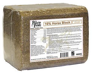 Ridley 16825 Prairie Pride 33 lbs. 16 Percent Horse Block