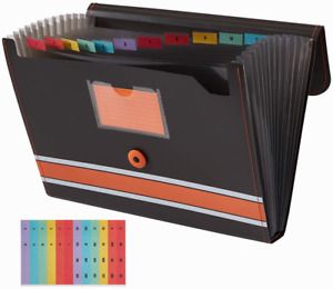 Sooez Expanding File Folder Paper Organizer with Sticky Labels, 13 Orange