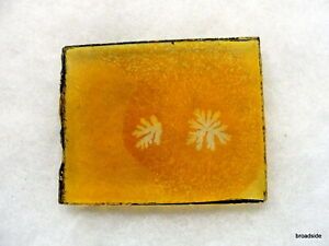 Extra thick Amber Microscope Slide w / study material inside L@@K