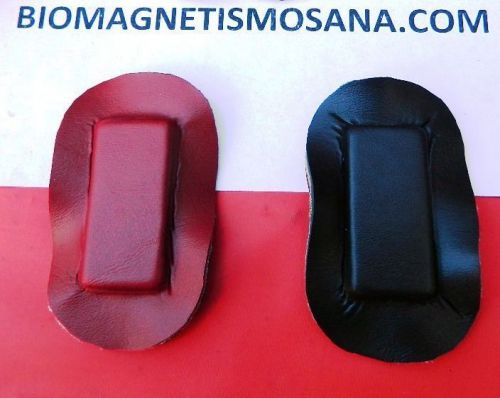 3850 GAUSS CERAMIC MAGNET PAIR BIOMAGNETISMO DR ISAAC GOIZ BIOMAGNETISM PAIR