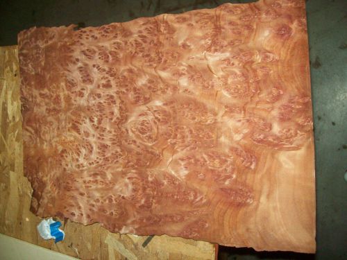 redwood burl veneer 6 @ 12 x 18 [2670