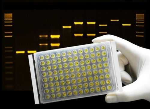 Opti-Seal PCR and Storage films, PCR film, Seal, New, Thermal Cycling Seal