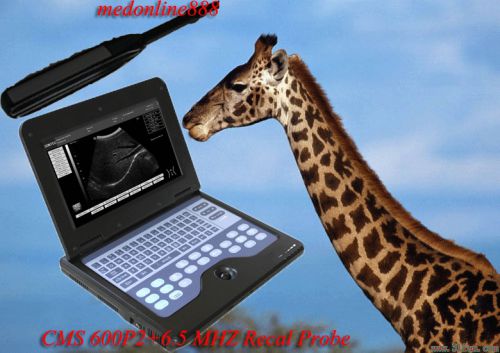 CONTEC VET Veterinary Laptop Ultrasound Scanner system with 6.5Mhz Rectal Probe