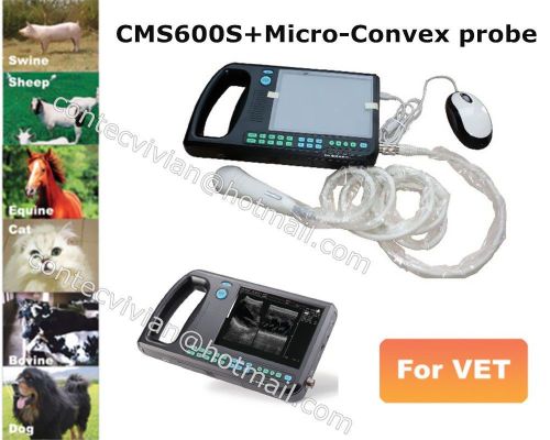 Veterinary portable laptop palm ultrasound scanner digital micro-convex/cardiac for sale