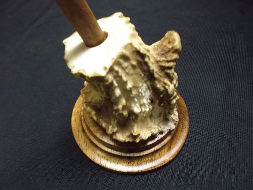 Molokai Deer Antler And Curly Koa Pen Holder