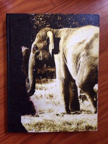 Elephant Poo Paper Elephant Journal Diary Blank Recycled Elephant Poo W Bookmark