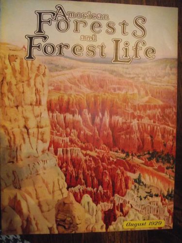 1929 AUG ~ AMERICAN FOREST MAGAZINE ~ AMERICAN FORESTY ASSOCIATION ~ VERY NICE
