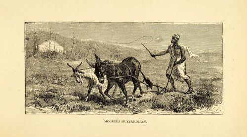1882 wood engraving art morocco moorish cultivator donkey goat agricultural xgk1 for sale