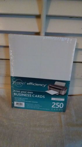 Ampad  Print Your Own Business Cards   250 Cards Heavy Weight   NEW