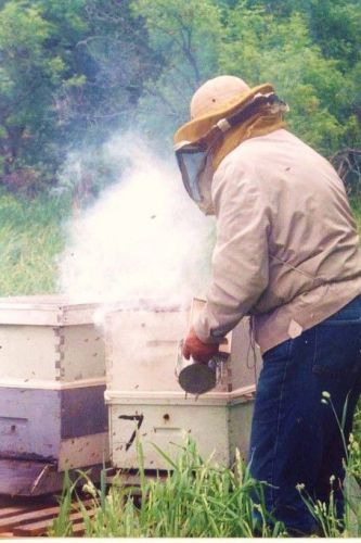 1/2  POUND SMOKER FUEL, HONEY BEE KEEPING BEES HIVE SMOKE NATURAL PINE NEEDLES