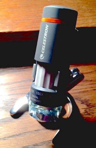 Celestron 44302a handheld digital microscope 2mp black orange w/ case for sale