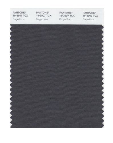 Pantone 19-3907 tcx smart color swatch card, forged iron for sale
