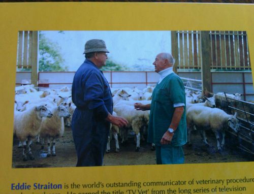Sheep Ailments Recognition &amp; Treatment TV Vet Eddie Straiton Book Livestock vet