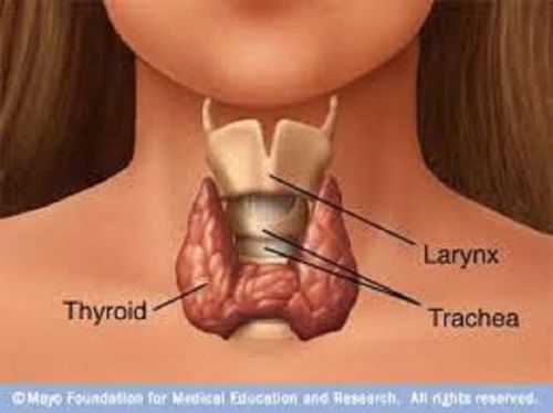 Medical Training on Thyroid Disorders - VIDEO DVD