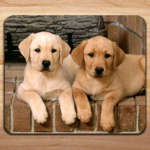 Cute Lab Puppy Animals Photo Puppies Labrador Retriever Mousepad Mouse Pad Mat