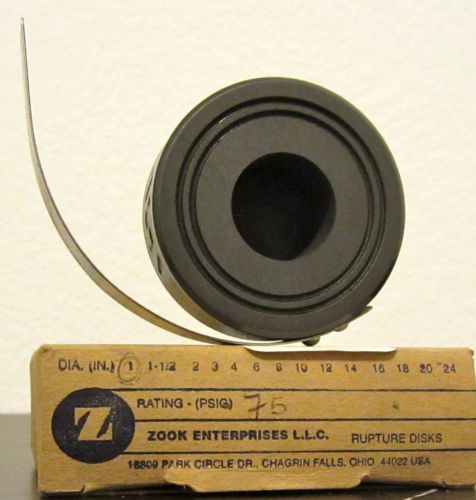 Zook Enterprises 1Mx1X45X72 87475.010 Rupture Disc Graphite Rupture Disc