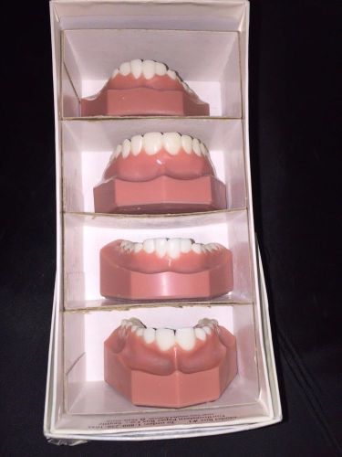 4 DENTURES FOR EDUCATION UPPER AND LOWER OR STUDY MODEL ((make an offer)))
