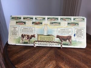    Guernsey Dairy Cow Advertising Ad Milk Ranch Cattle Free Sh