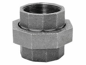 Anvil 8700163101 Black Malleable Iron Pipe Fitting Union 1-1/4 in. NPT Female
