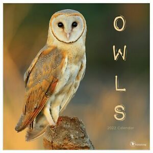TF Publishing Owls 2022 Wall Calendar w