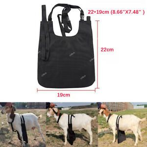 Anti Mating Urine Scald  Apron w/Centeredon Harness Fit For Sheep Medium Black